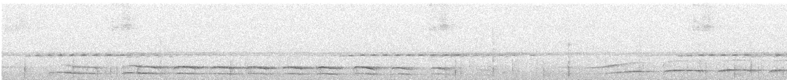 Chouette mouchetée - ML647415859