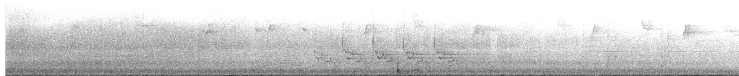 Поплітник каролінський - ML647415906