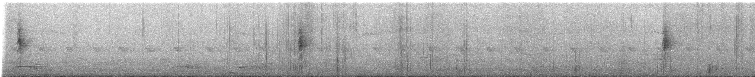 Rhipidure à poitrine tachetée - ML647416770