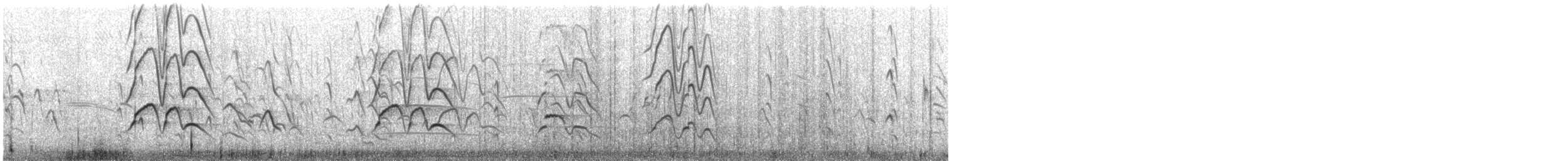 Dendrocygne veuf - ML647417015