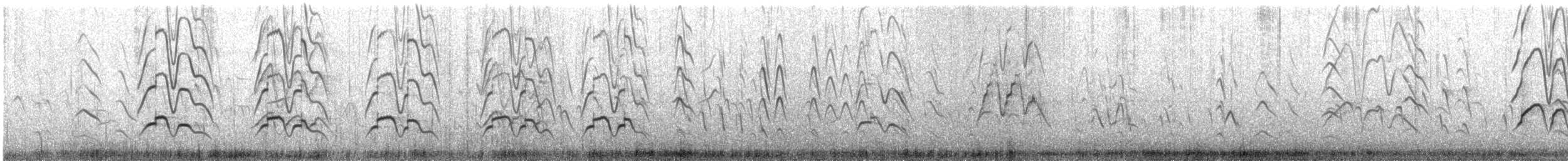 Dendrocygne veuf - ML647417016