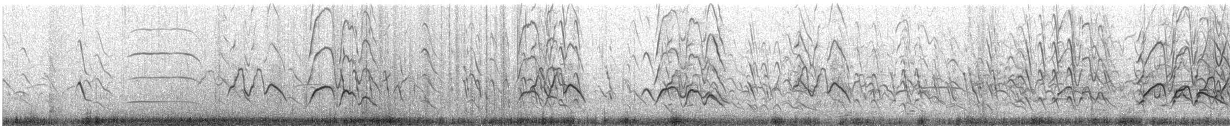 Dendrocygne veuf - ML647417017