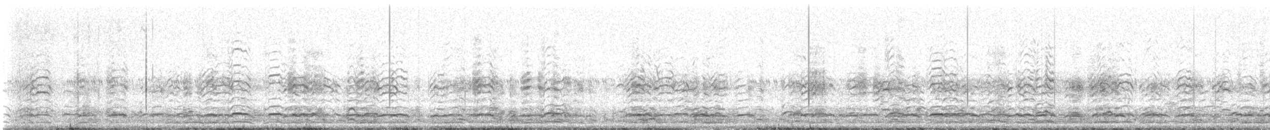 אווז שלג - ML647417367