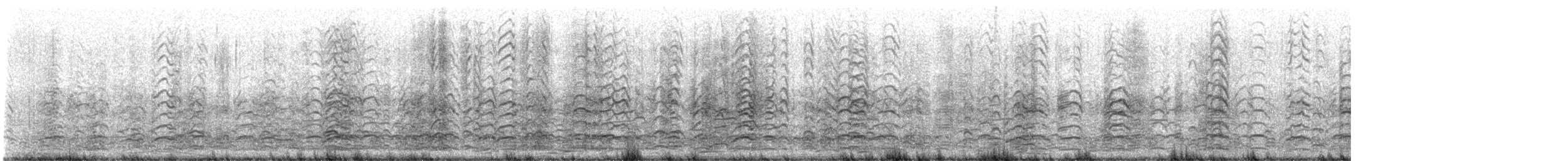 אווז שלג - ML647417886