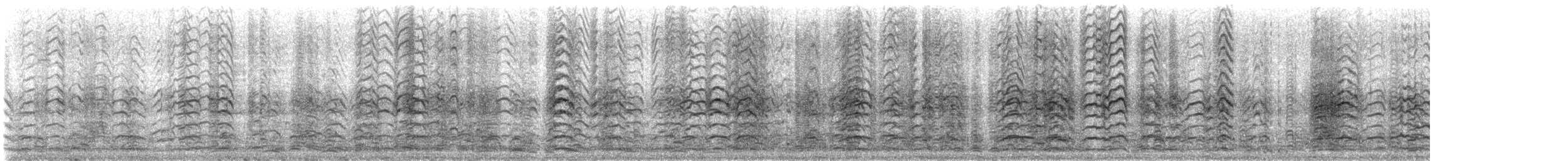 אווז שלג - ML647417898
