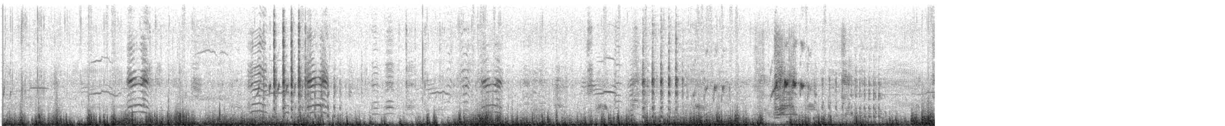 עגור קנדי - ML647417915