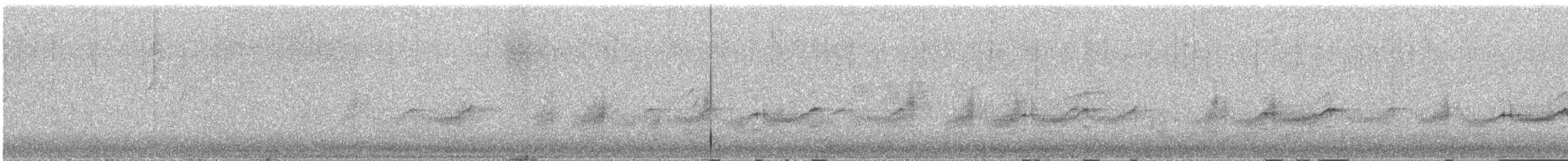 ムナグロセワタビタキ（capensis） - ML647418403