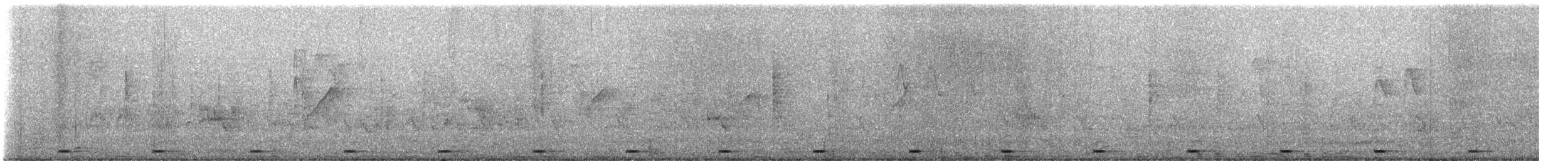 Barbudo Calderero - ML647418880