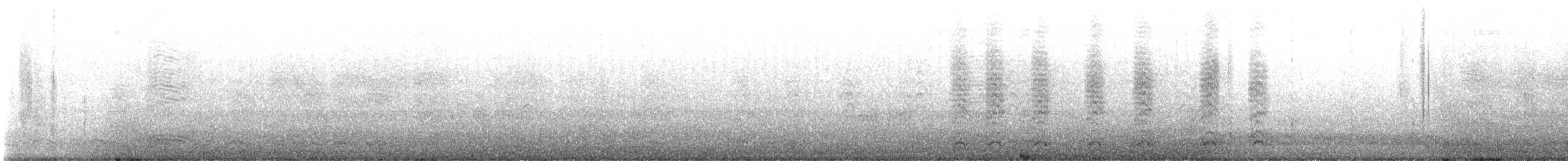 Cuervo Pescador - ML647418950