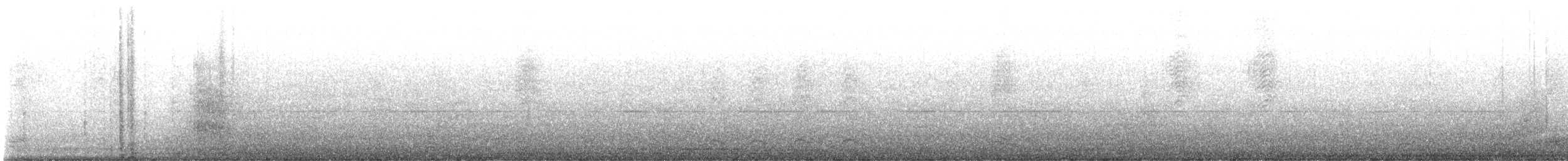 Cuervo Pescador - ML647418951