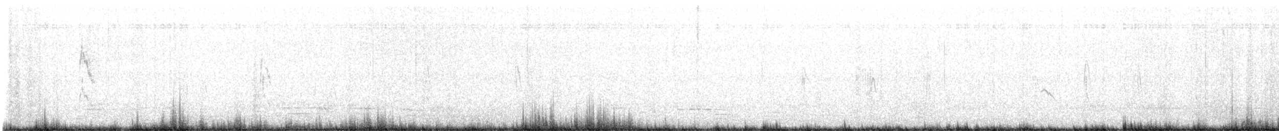 Txirta sp. - ML647419359