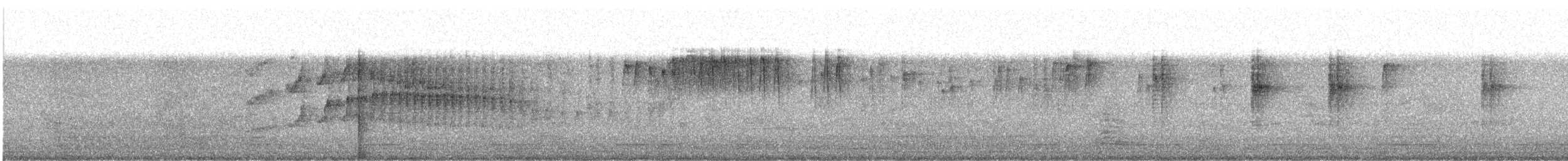 Dark-bellied Cinclodes - ML647419367