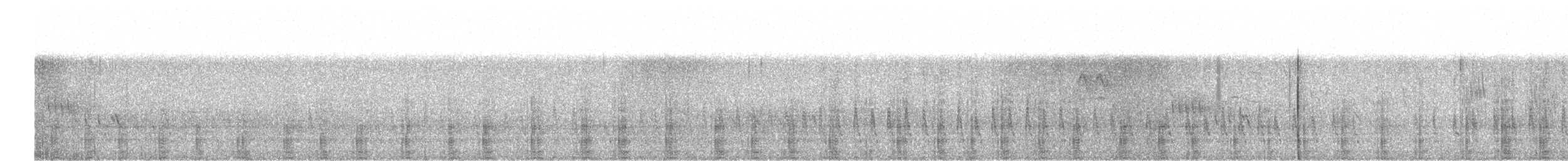 Quetro Volador - ML647419559