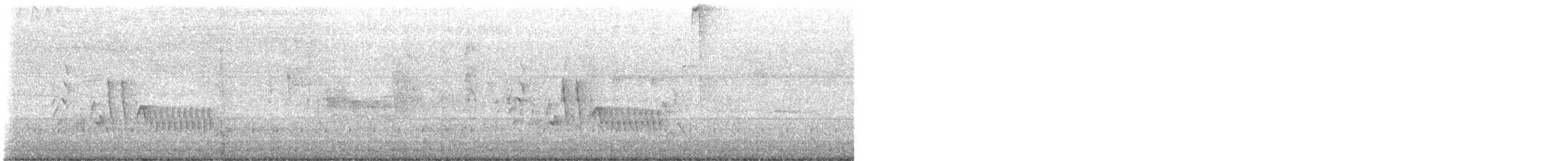 Chochín Criollo Sureño - ML647419810