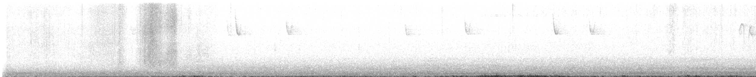 Chingolo Arbóreo - ML647419913