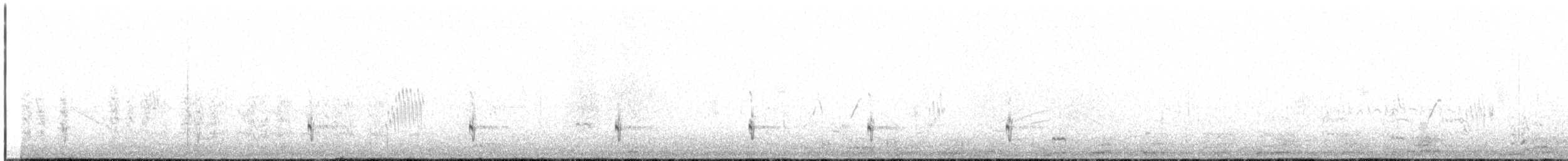 Zampullín Plateado - ML647419926