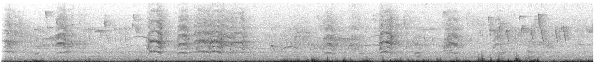 Aratinga Ñanday - ML647419930