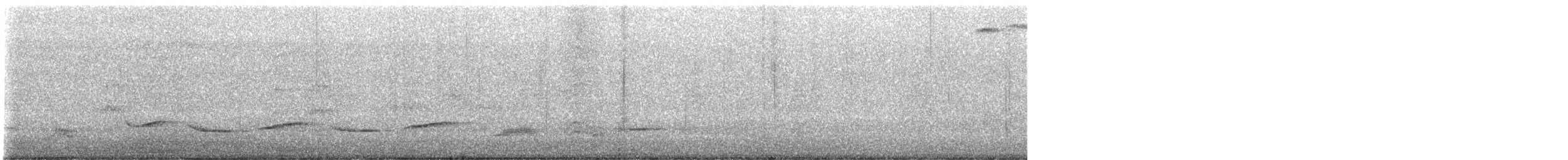 Rufous-bellied Thrush - ML647420068