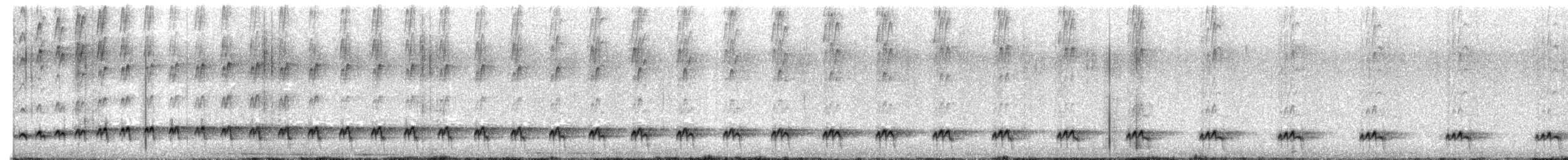 Cuclillo Bobo - ML647420302