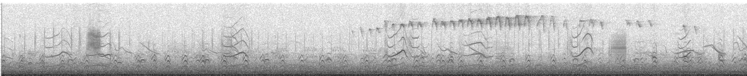 Junquero troglodyte - ML647420815