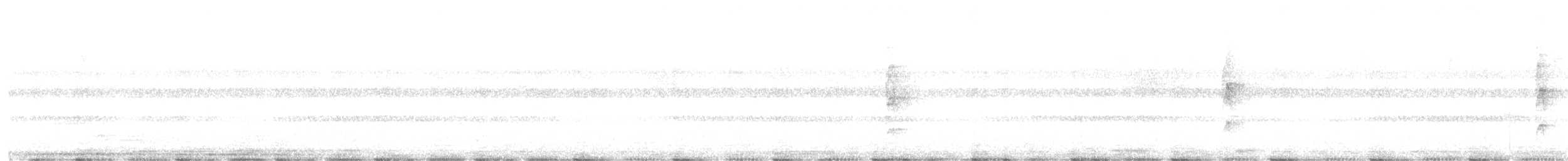 White-throated Spadebill (Western) - ML647421330