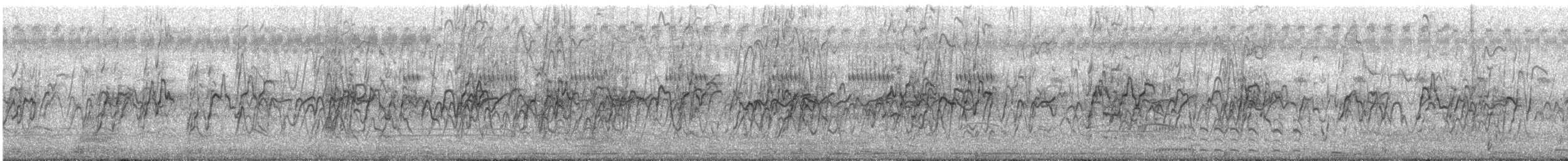 Cava Islıkçı Ördeği - ML647421442