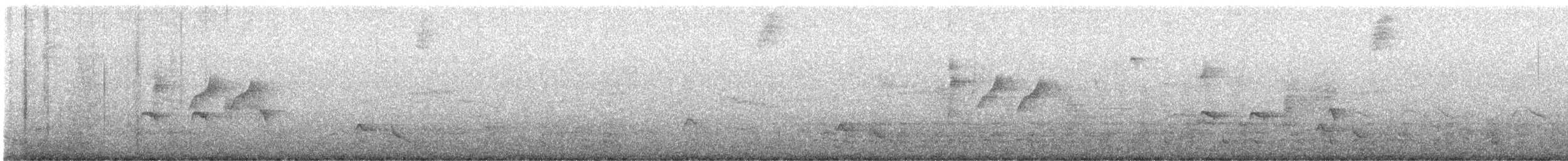 Klages Karıncakuşu - ML647421816