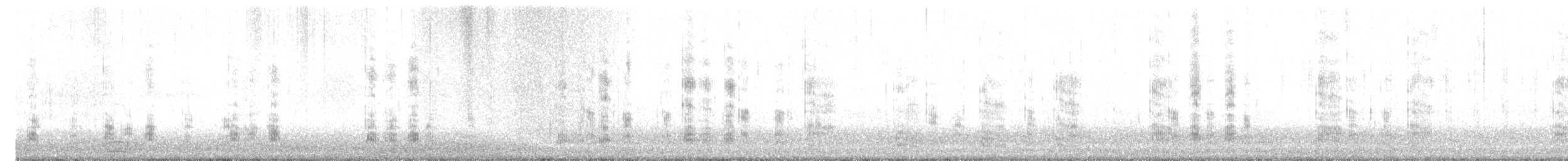 kachna divoká - ML647422513