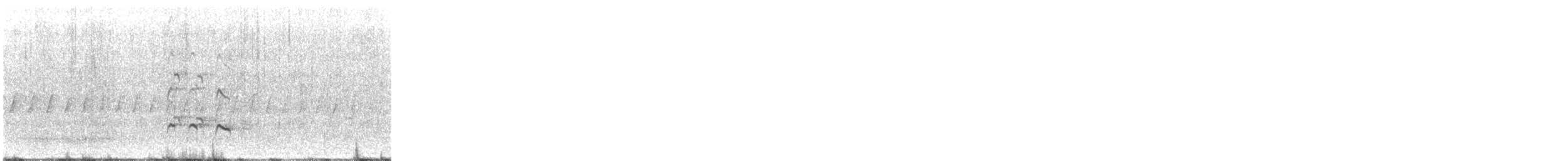 vodouš velký - ML647422830