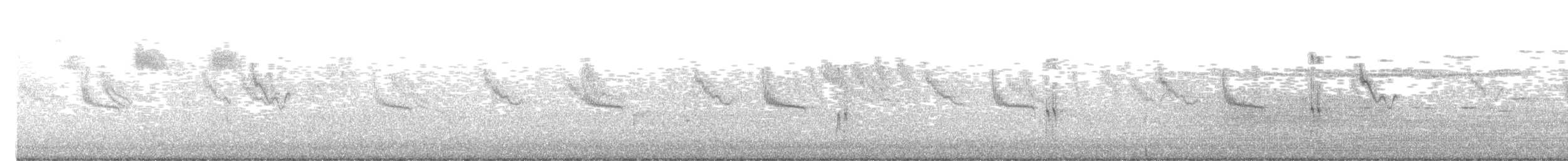 シロハラシマアカゲラ - ML647423681