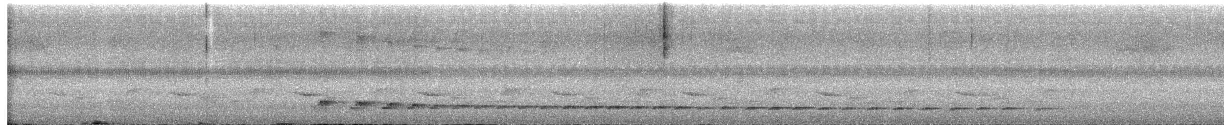 Schwarzkopf-Ameisendrossel - ML647424533