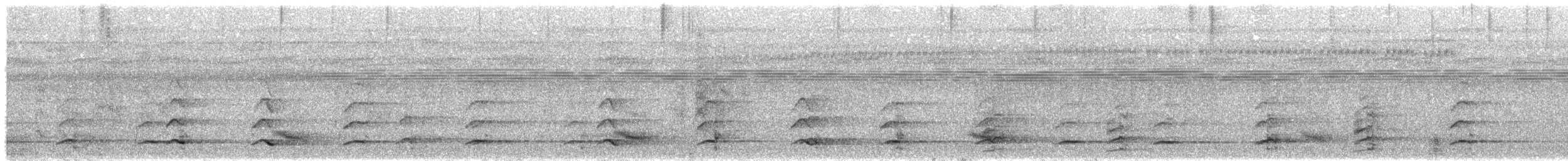 White-throated Toucan - ML647424703