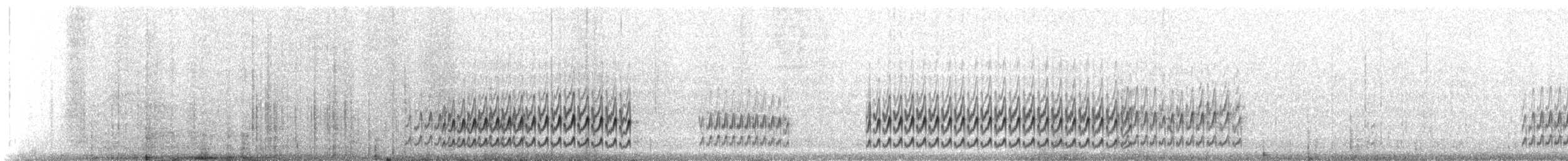 Semipalmated Sandpiper - ML647425358