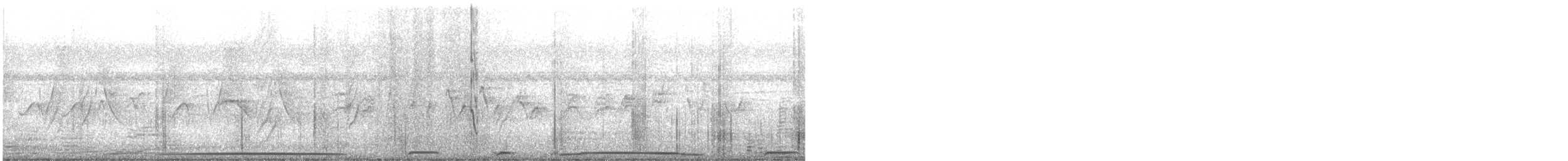 Picazuro Pigeon - ML647425618