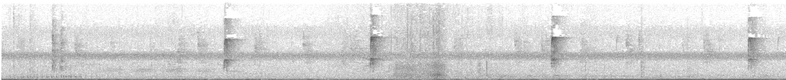 Ladder-backed Woodpecker - ML647426293