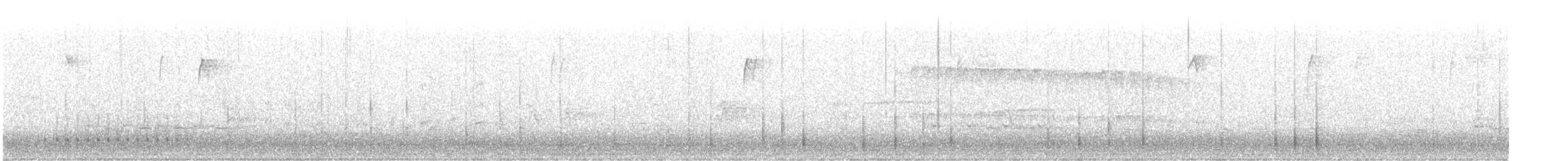 Downy Woodpecker - ML647426513