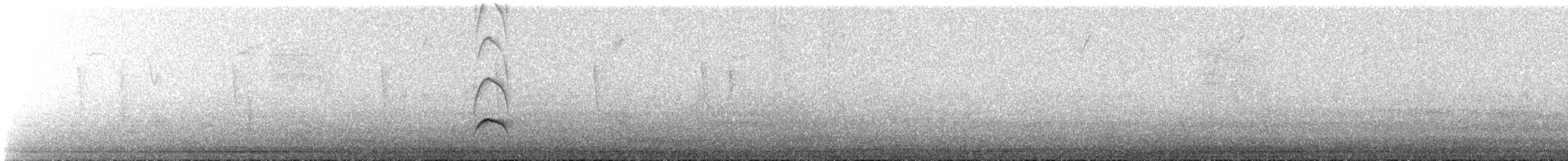 Salvadoran Flycatcher - ML647426520