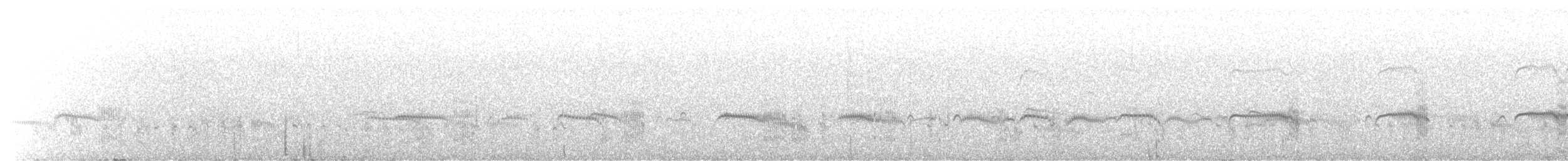 Arctic Tern - ML647426557