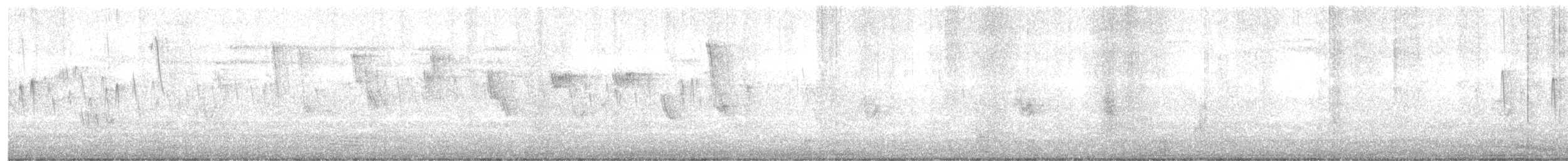 Sick's Swift - ML647426700