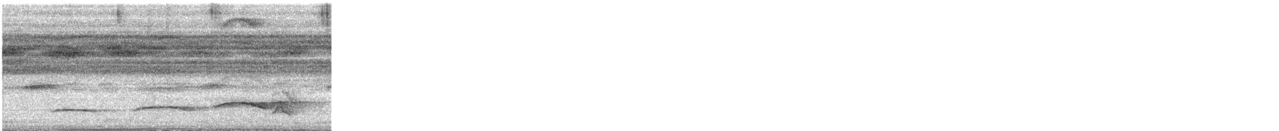 Cinnamon Attila - ML647427785