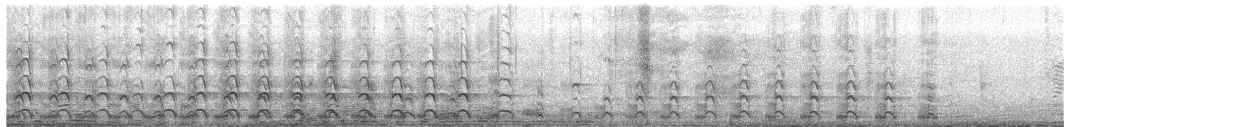 Western Gull - ML647427906