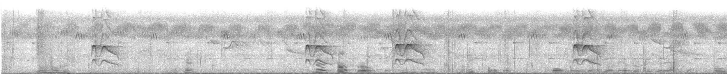 Drongo royal - ML647428725