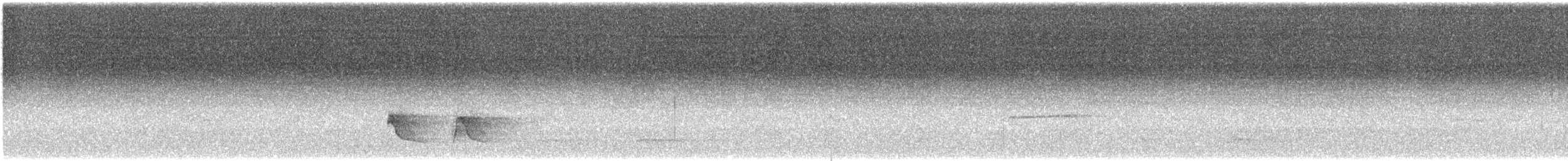 Manakin des yungas - ML647428729