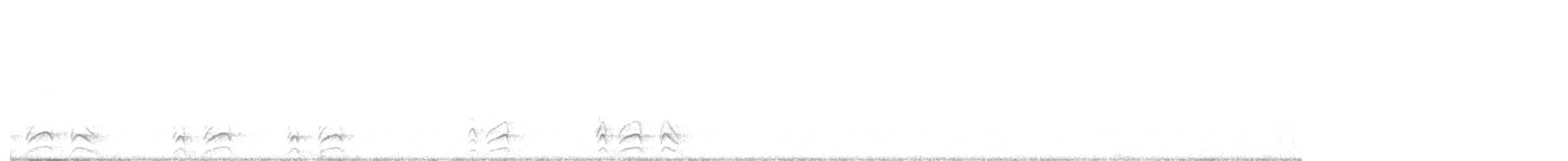 Colin de Californie - ML647428732