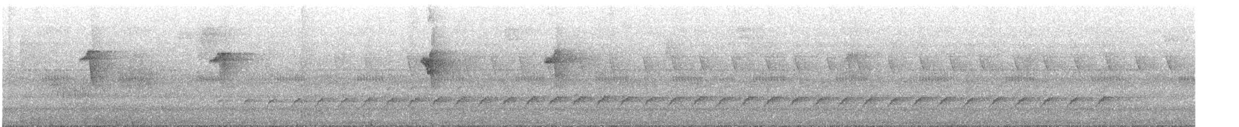 Roadside Hawk - ML647429629