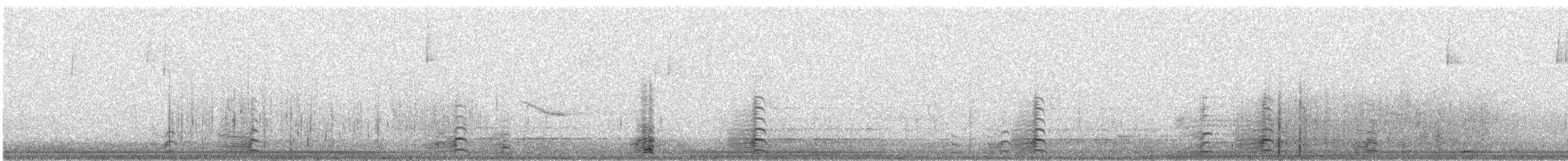 hohol bělavý - ML647430261