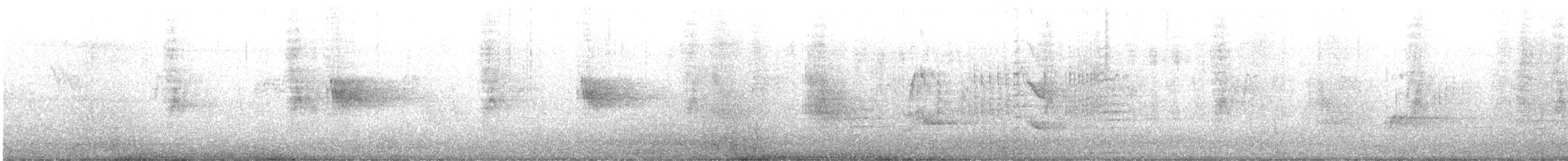 סנונית אמריקנית - ML647430590