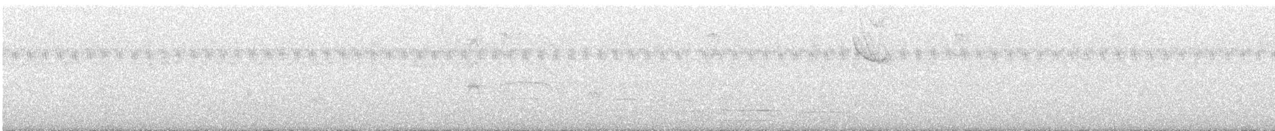 Tropical Kingbird - ML647431458