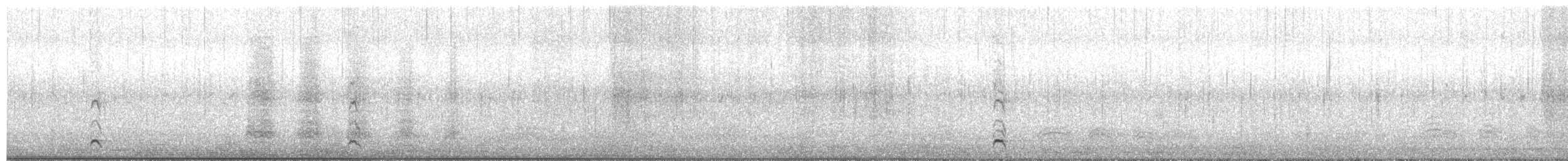 Mallard - ML647431762