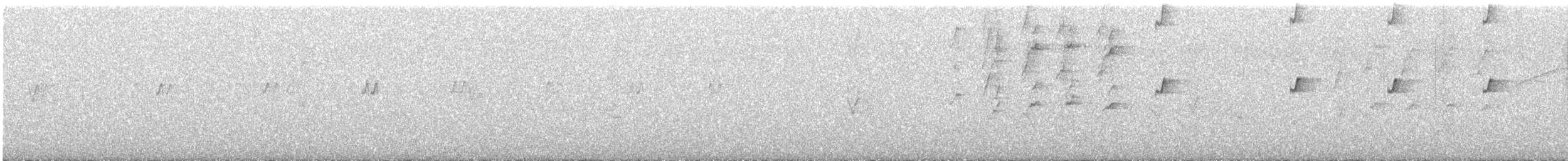 Maracaibo Tody-Flycatcher - ML647431780